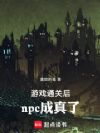 ��Ϸͨ�غ�npc������